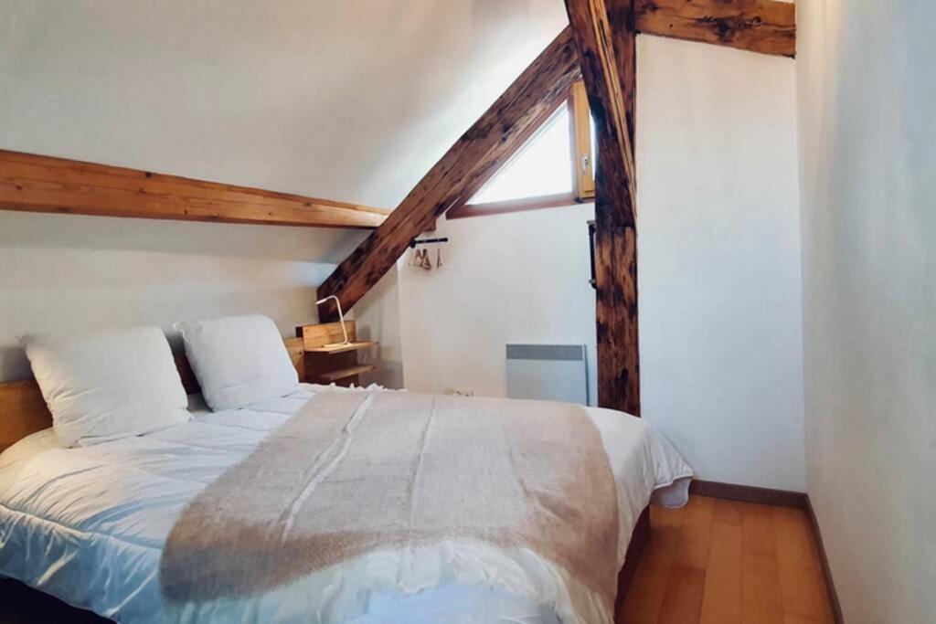 L'Appart Du Paquier Appartement Annecy Buitenkant foto