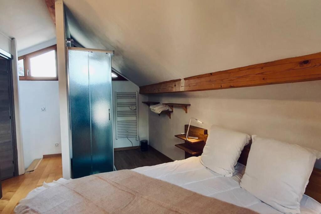 L'Appart Du Paquier Appartement Annecy Buitenkant foto